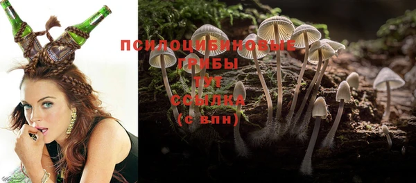 герыч Новокубанск