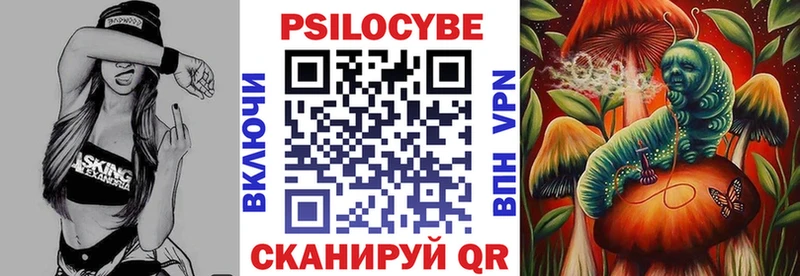 цены наркотик  Балей  маркетплейс телеграм  Псилоцибиновые грибы Psilocybe 